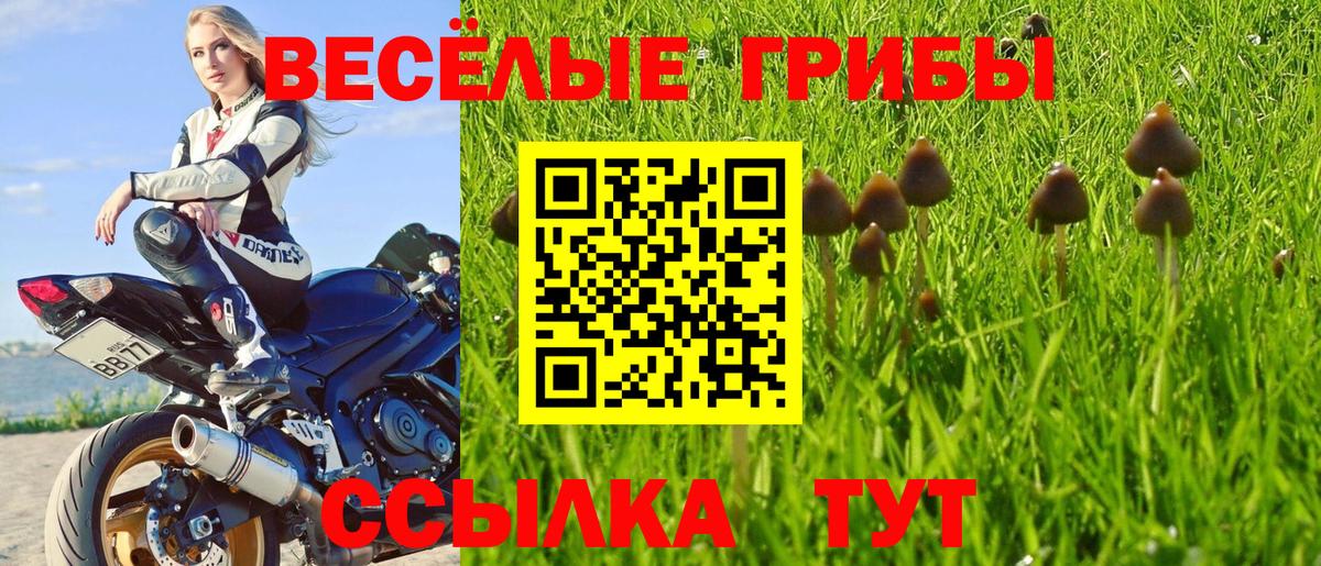 Галлюциногенные грибы GOLDEN TEACHER Лянтор